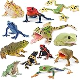 Toymany Frog Toy Figures, Plastic Rainforest Woodland Animals Toy Frogs Set with Realistic Poison Dart Frog, Cake Topper Party Favor Garden Flowerpot Plants Decor