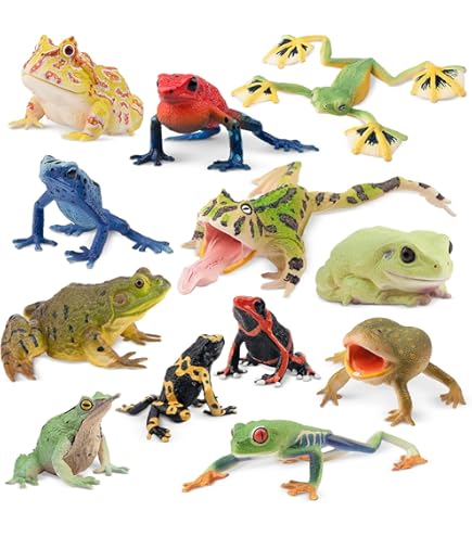 Wild Republic Frog in Nature Tube : Wild Republic: Amazon.ca: Toys