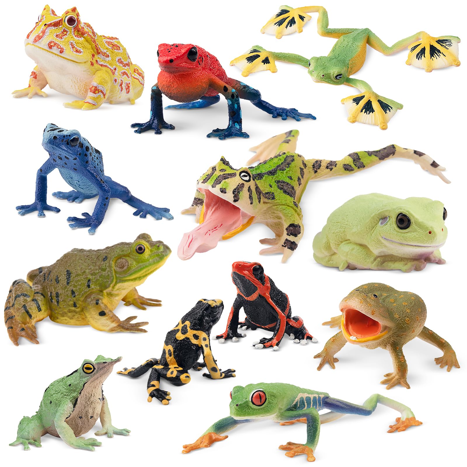 Photo 1 of Toymany Frog Toy Figures, Plastic Rainforest Woodland Animals Toy Frogs Set with Realistic Poison Dart Frog, Cake Topper Party Favor Garden Flowerpot Plants Decor