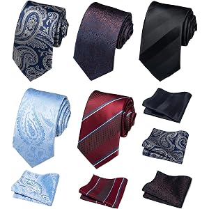 Passabin 5 PCS Tie and Pocket Square Ties For Men Multi Pack
