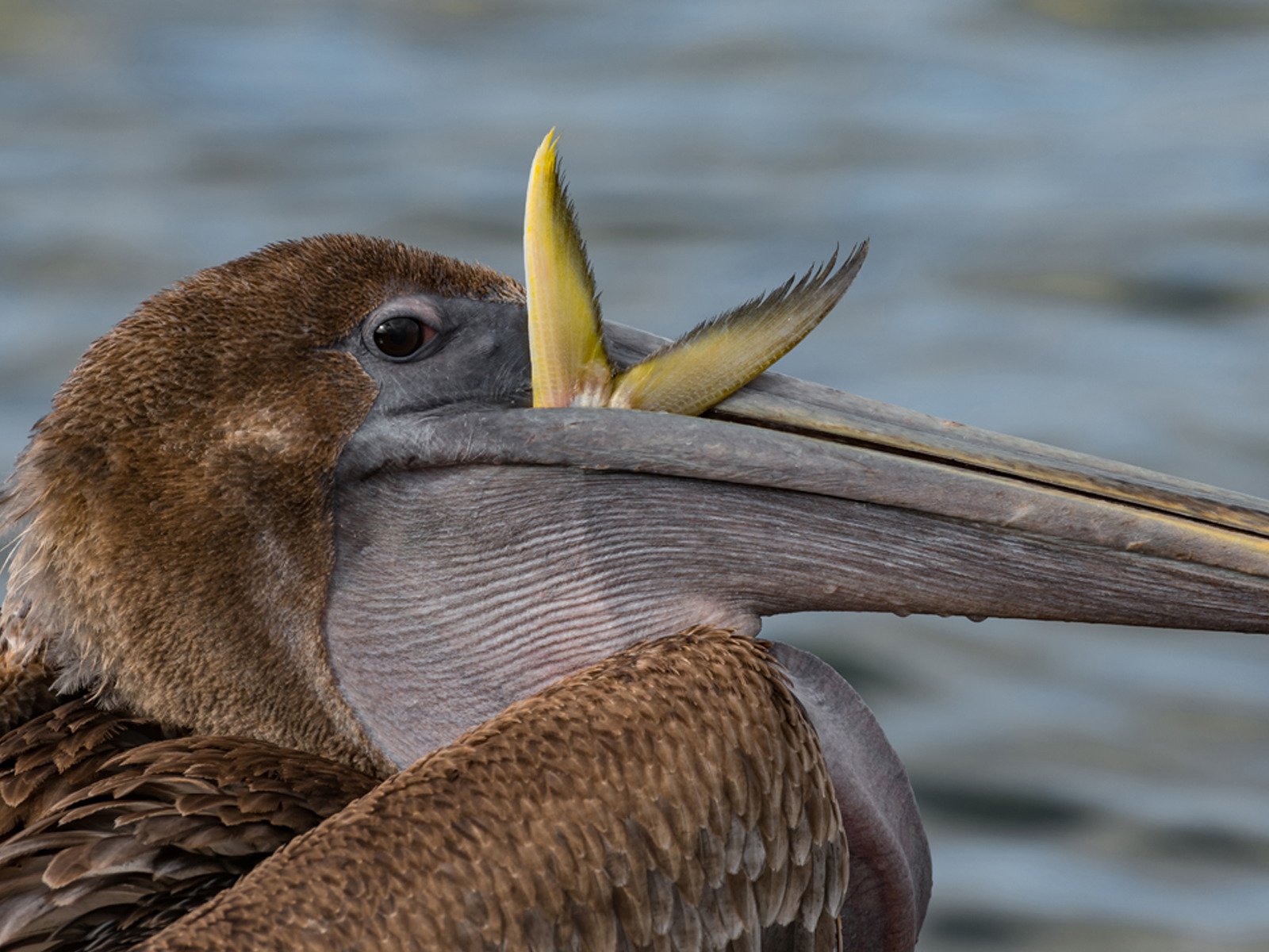 Watch Mark Smith Photography Prime Video