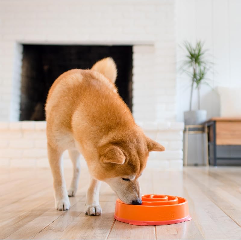 Comedouro Divertido Slo-Bowl - Comedouro de Obstáculos para Cães - Laranja - Médio/Mini — foto 6 de 7