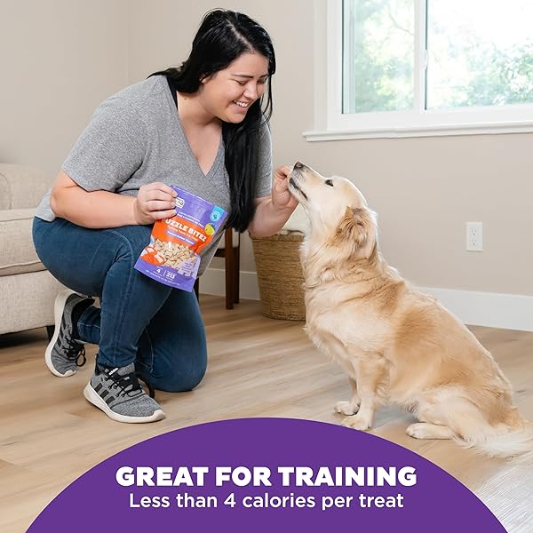 OUTWARD HOUND NINA OTTOSSON PUZZLE BITEZ TRAINING TREATS FOR DOGS PEANUT BUTTER FLAVOR SOFT SMALL DOG TREATS DOG TRAINING TREATS