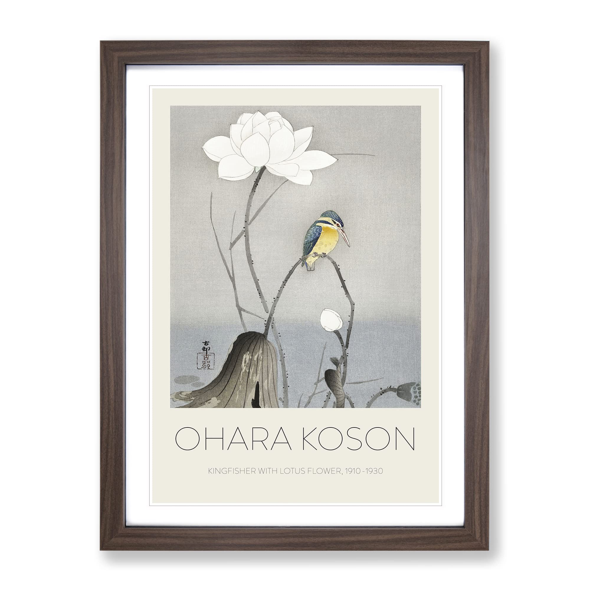 Kingfisher With Lotus Flower By Ohara Koson Exhibition Museum Asian Japanese Framed Wall Art Print, Ready to Hang Picture for Living Room Bedroom Home Office Décor, Walnut A3 (34 x 46 cm)