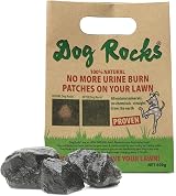 Dog Rocks Urine Patch Preventer 600g Bulk Bag Clear by Dog Rocks