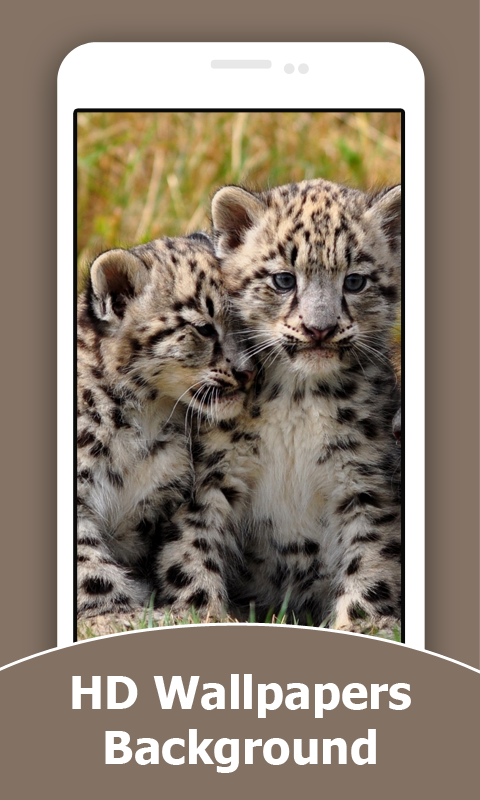 Wild Animals Cub HD Wallpapers - Thumbnail 4