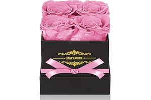 NATROSES Pink Preserved Roses in a Box That Last Up to 3 Years, Long Lasting Roses Gifts for Her,Valentines Day Gifts, Mothers Day Gifts (Pink)