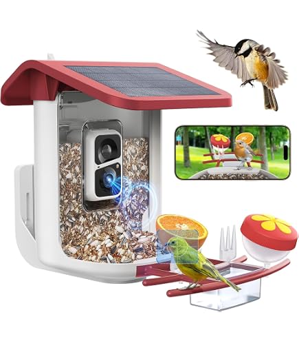 Curated visual reference: Bird Feeder With Signal Transmitter No WiFi Setup Amazon Bird Photo Inspiration