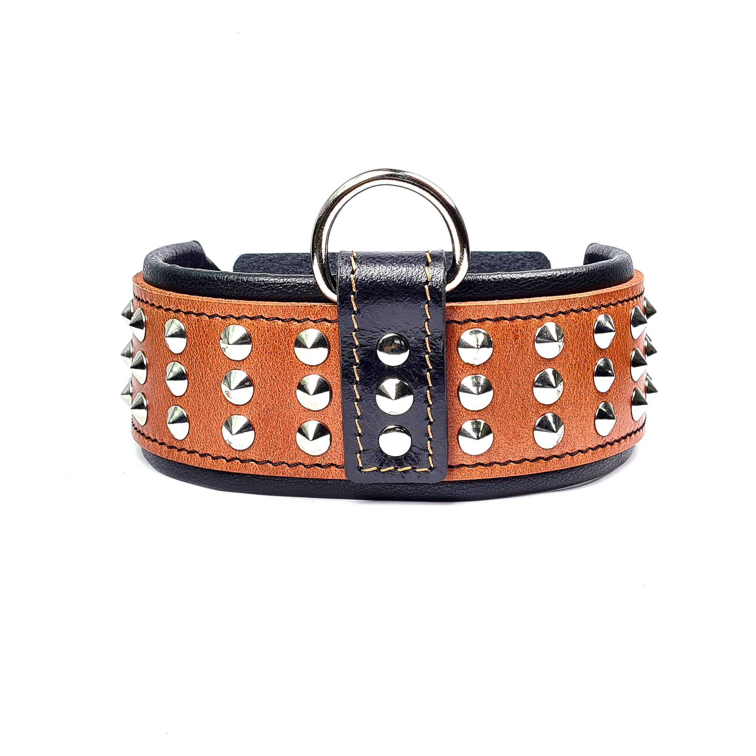 Bestia ''Star'' Genuine Leather Dog Collar with Studs
