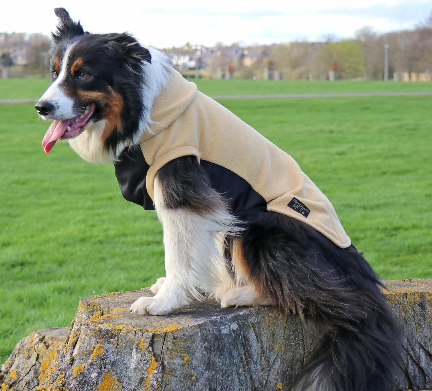 Glenndarcy dog fleece Clearance