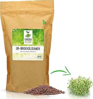 Brokkoli Samen Bio [200 Gr] - Brokkolisamen mit hohem Sulforaphan Gehalt dank Sorte"Brassica rapa sylvestris" direkt aus Italien - Brokkolisprossen