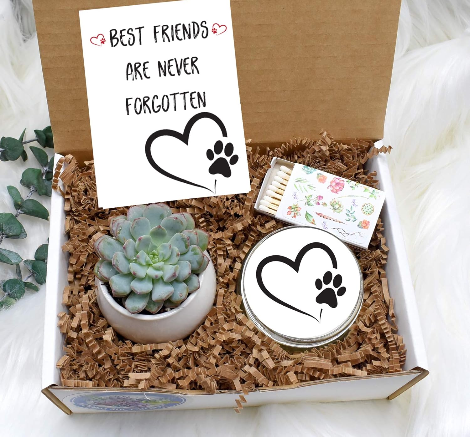 Amazon Com Custom Pet Sympathy Gift Pet Sympathy Gift Pet Loss Gift Pet Memorial Sympathy Gift Box Sorry Gift Box Live Succulent Gift Box Handmade