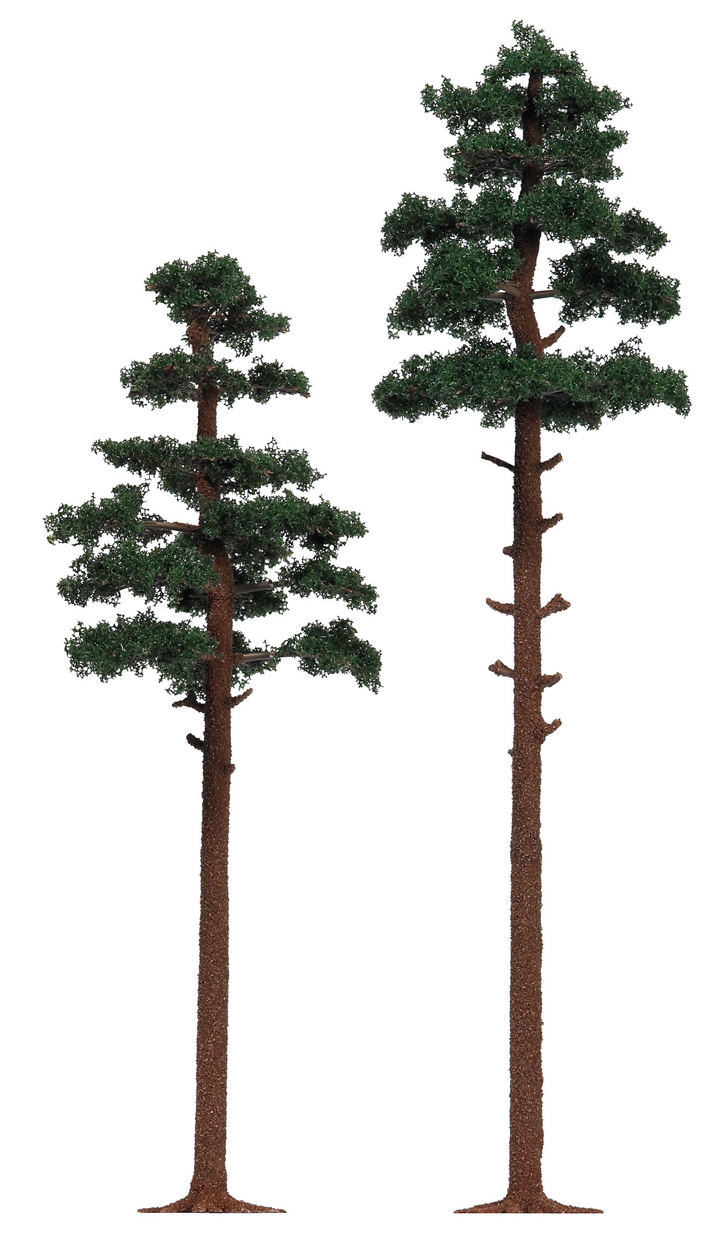 Pine Trees X 2