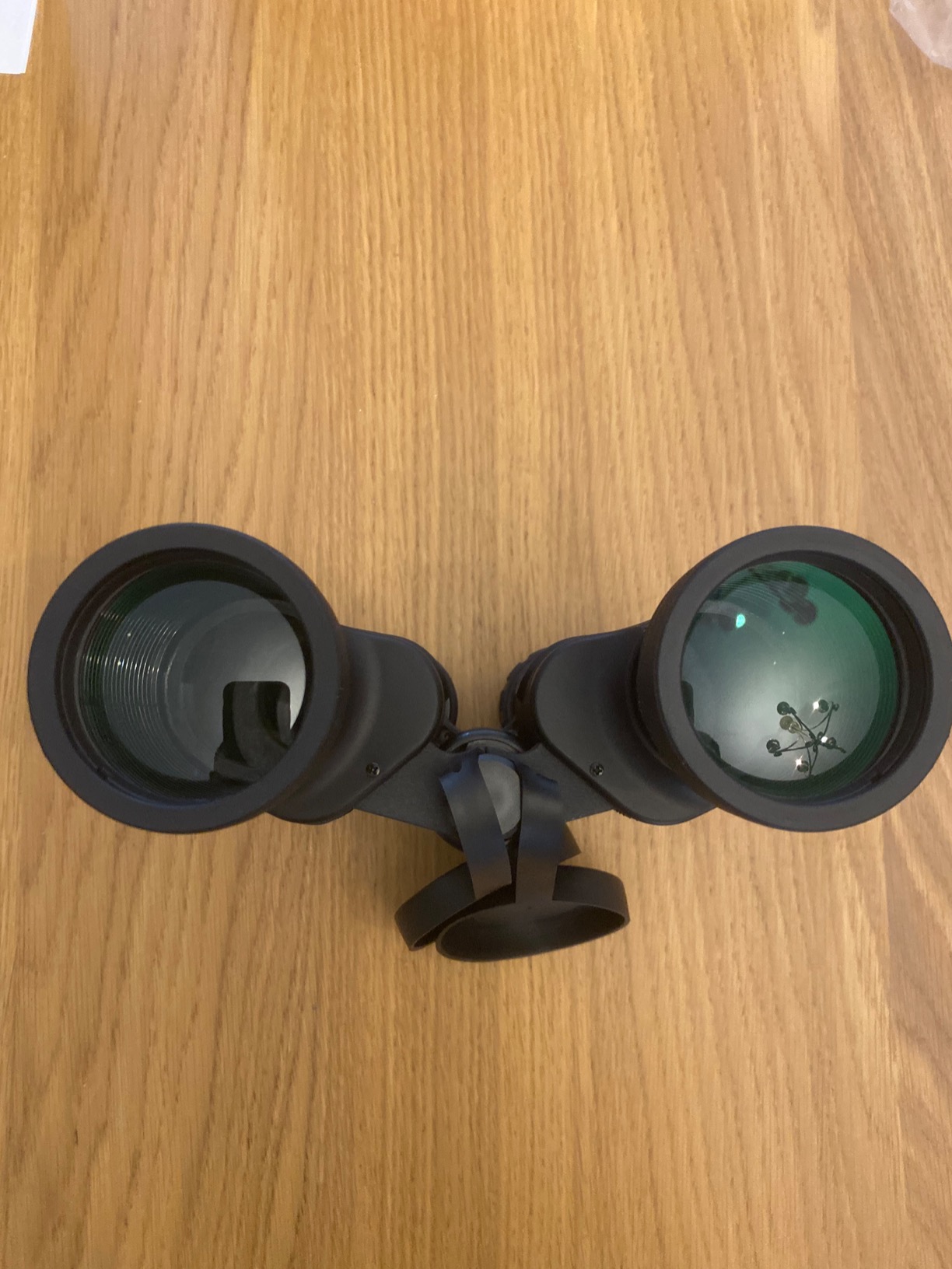 Binocolo Professionale 20×50 Con Prisma BaK4 | Impermeabile, Compatto, Per Birdwatching, Caccia E Concerti
