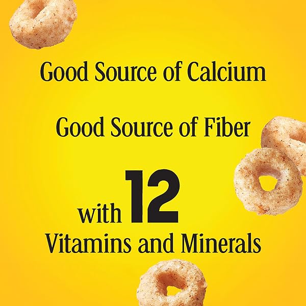 APPLE CINNAMON CHEERIOS, HEART HEALTHY GLUTEN FREE BREAKFAST CEREAL, MADE WITH WHOLE GRAIN OATS, FAMILY SIZE, 19 OZ