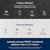 Blueair 102692 Combination Filter for Blue 221 Air Purifier HEPASilent view 4