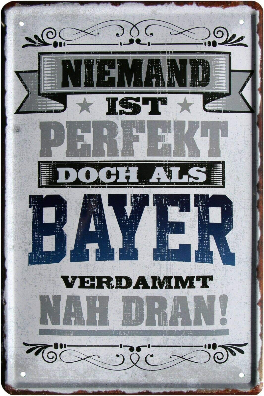 2137 Tin Sign with German Text "Niemand ist Perfekt, aber als Bayer 20 x 30 cm [German Language]