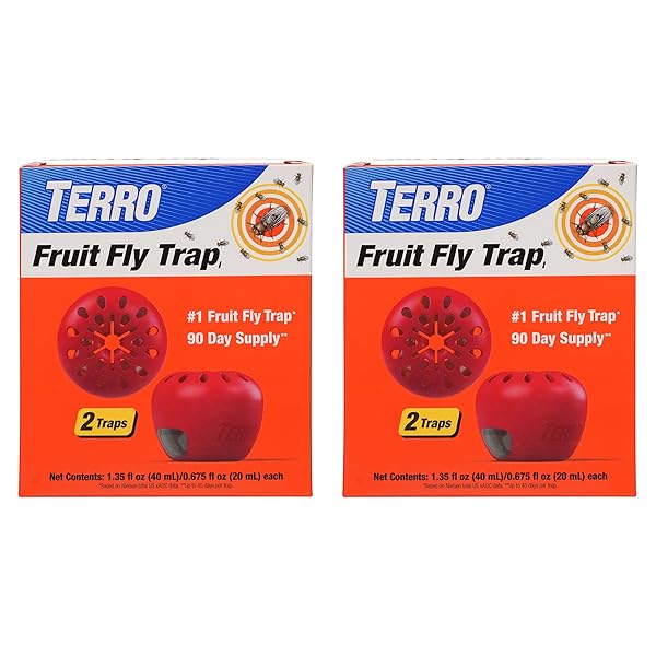 TERRO FRUIT FLY TRAPS FOR INDOORS (4 PACK) + 180 DAYS OF LURE SUPPLY