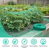 Straame Garden Netting 2m x 10m Green Nylon Fine Mesh 2 Pack view 2
