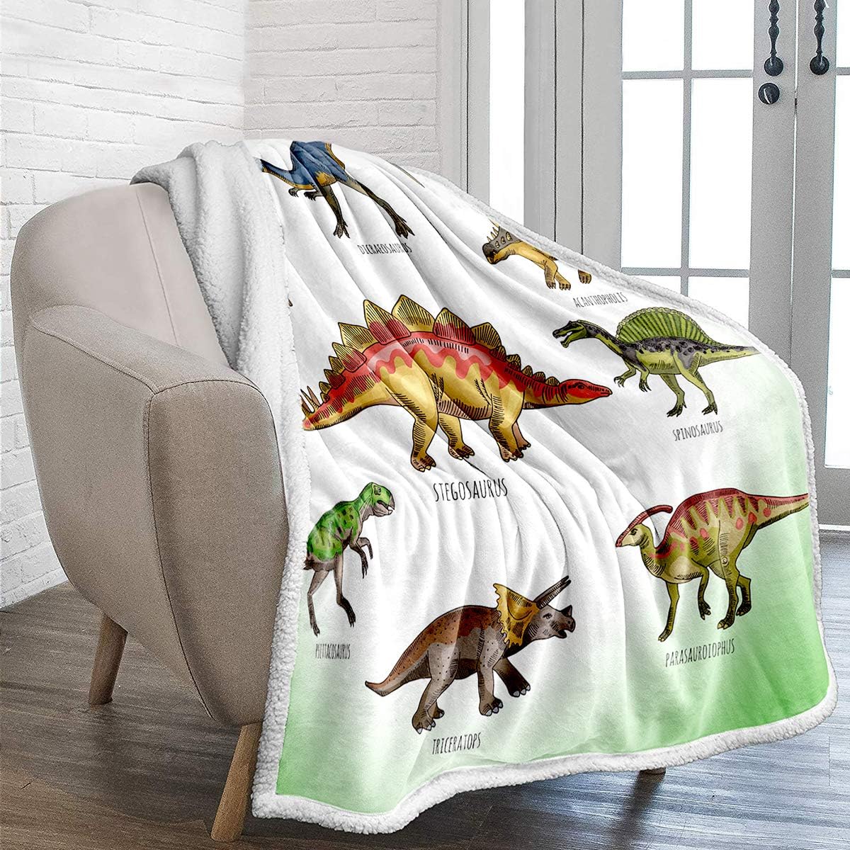 WONGS BEDDING Dinosaur Fleece Blanket Soft Cozy Reversible 3D Jurassic