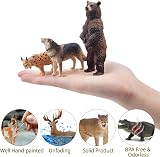 toymany 12PCS North American Forest Animal Figurines Realistic Toy Set view 2