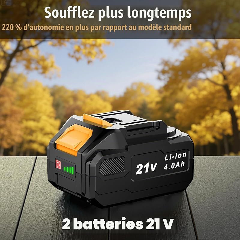 Souffleur de Feuilles sans Fil 21V, 2 Batteries 4,0Ah Incluses, 3 Vitesses Réglables, 2 Tubes de Soufflage Amovibles, Bandoulière – pour Jardin, Terrasse et Nettoyage Extérieur