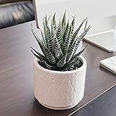 Artificial Succulent in Ceramic Pot, 6.7'' High Potted Fake Aloe Succulent Plant for Home Office Desk Bathroom Boho Shelf Decor, Realistic Faux Aloe with No Maintenance
