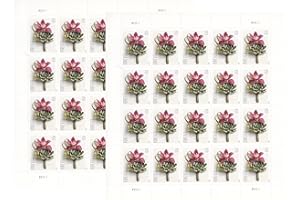 USPS Contemporary Boutonniere Forever Postage Stamps Wedding (2 Sheets, 40 Stamps)