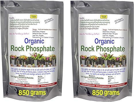 Buy Tsr Organic Fertilisers Pesticides Organic Rock Phosphate Fertilizer 1700 850 And 850 G Crushed Powder As Phosphatic Natural All Purpose Garden And Horticulture Fertilizer Online At Low Prices In India Amazon In