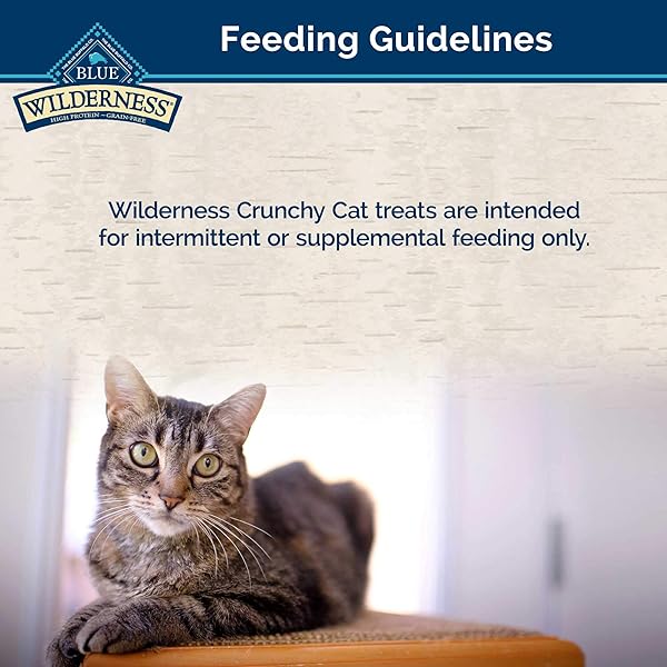 BLUE BUFFALO WILDERNESS CAT TRT SALM SQ 2Z