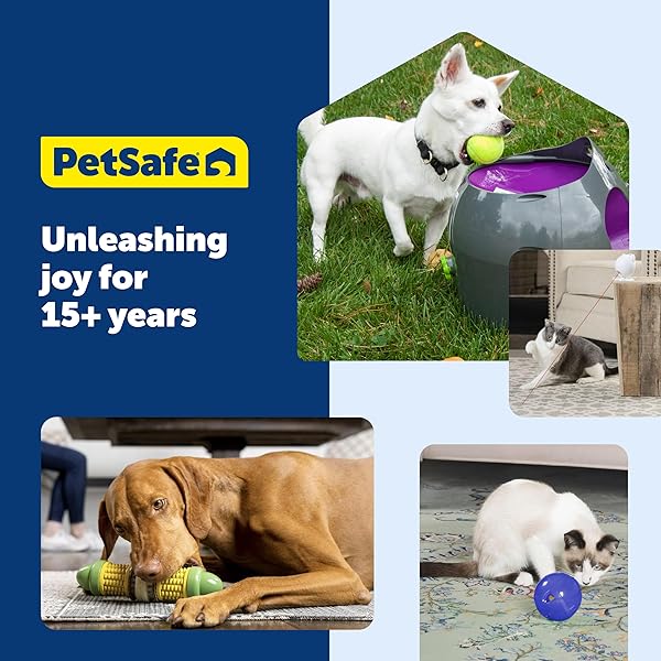PETSAFE BUSY BUDDY NATURAL RAWHIDE RINGS – PEANUT BUTTER FLAVOR CHEWS – HIGH PROTEIN RAWHIDE RINGS – ENGAGING DOG CHEW RINGS – INTERACTIVE DOG TREATS FOR TRAINING & PLAYTIME – SIZE A