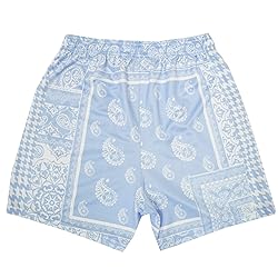 DIOTSR Mens Mesh Paisley Shorts, Casual Retro