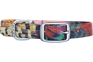 Dublin Dog by Outward Hound KOA Dog Collar Pheasant MD