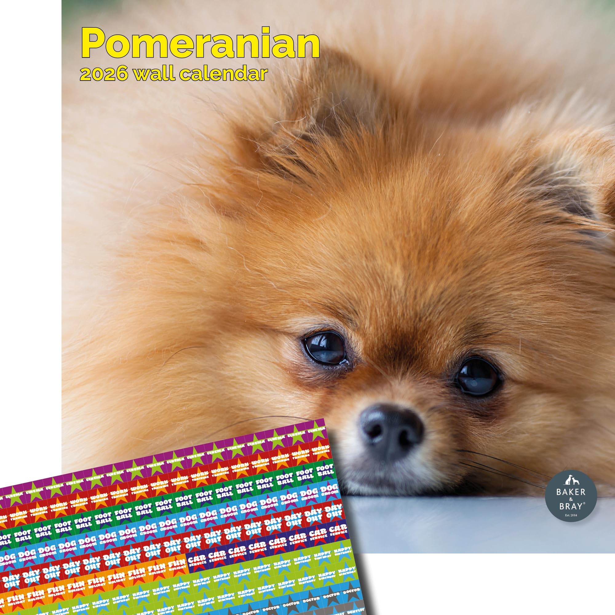 Baker and Bray Pomeranian Calendar 2026, Large Square Wall Calendar With Organisational Stickers, 16 Month, Pomeranian Gift Dog Calendar.