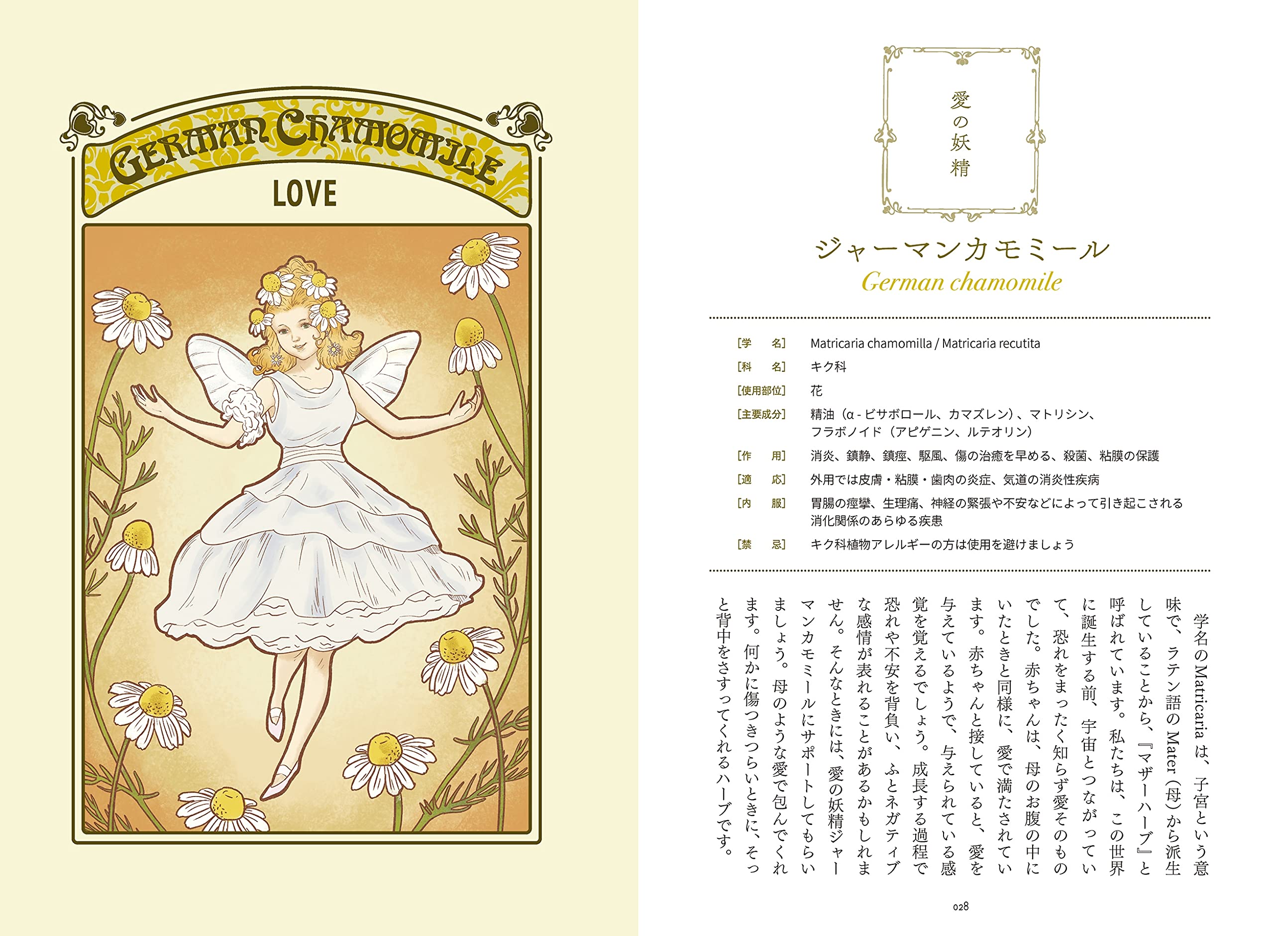 ニチドウ さんそを出す石 4箱 15個入り お徳用 ペット用品 観賞魚 飼育用 レビューを書けば送料当店負担 飼育用