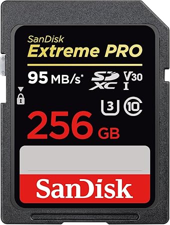 Amazon Com Sandisk 256gb Extreme Pro Sdxc Uhs I Card Sdsdxxg