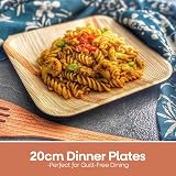FOOGO Green 25pcs Disposable Palm Leaf Plates 8in Square Eco Biodegradable view 2