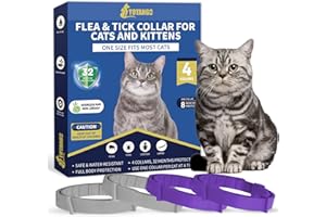 YOTANGO 4 Pack Flea Collar for Cats, 32 Months Flea and Tick Prevention for Cat, Waterproof Cat Flea Collar, Natural Flea Treatment, Adjustable Fleas and Ticks Collars for Cats Kittens(Grey&Purple)