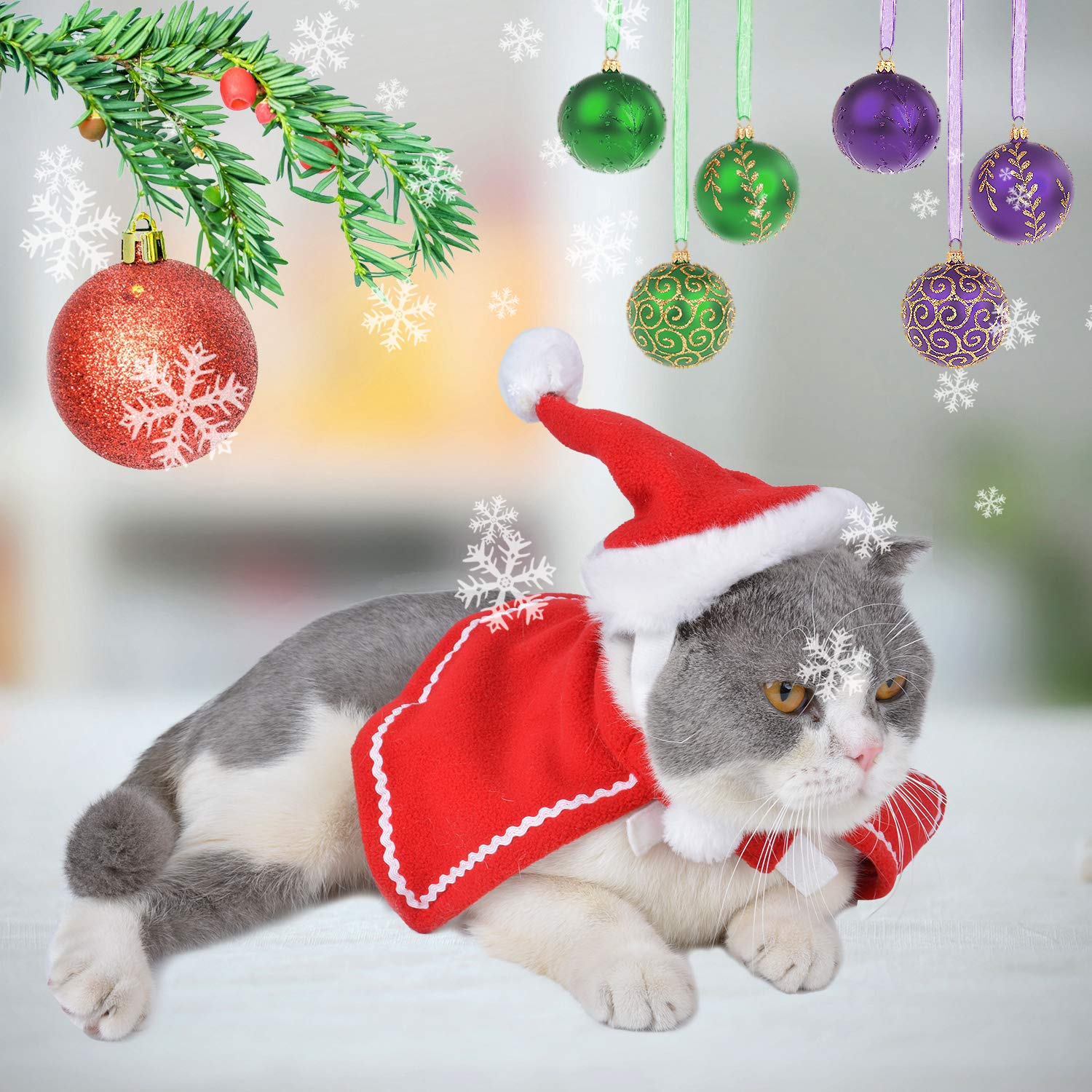 Legendog Cat Costume Pet Turkey Hat Thanksgiving Apparel Cats Small Dogs (Christmas Cloak and Christmas hat)