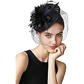 BABEYOND Fascinator Hat Veil Feather Fascinator Tea Party Kentucky Pillbox Derby Hat Bridal Wedding Party