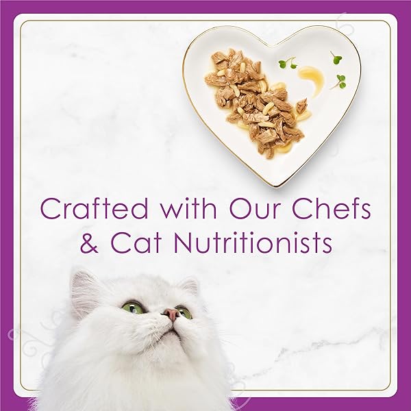 PURINA FANCY FEAST GOURMET WET CAT FOOD VARIETY PACK, PETITES GRAVY COLLECTION, BREAK-APART TUBS, 24 SERVINGS – (PACK OF 12) 2.8 OZ. TUBS