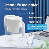 Waterdrop Lucid Water Purifier Jug 3.5L WD-PT-07 NSF 42/372 BPA Free view 7