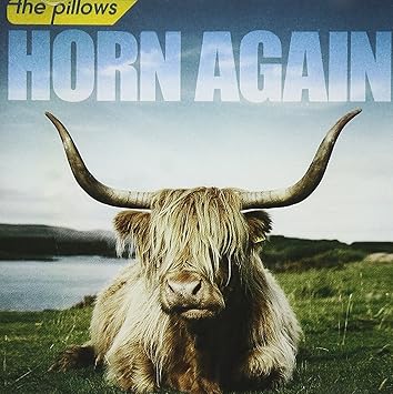 The Pillows Horn Again Dvd Reissue Ltd Amazon Com Music