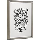 Kate and Laurel Blake Coral Black Framed Printed Glass Wall Art by Cat Coquillette, 16x20 Gray, Decorative Coastal Art for Yo