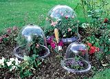 Haxnicks King Size Victorian Bell Cloche 2 Pack Transparent 31x40 cm view 2