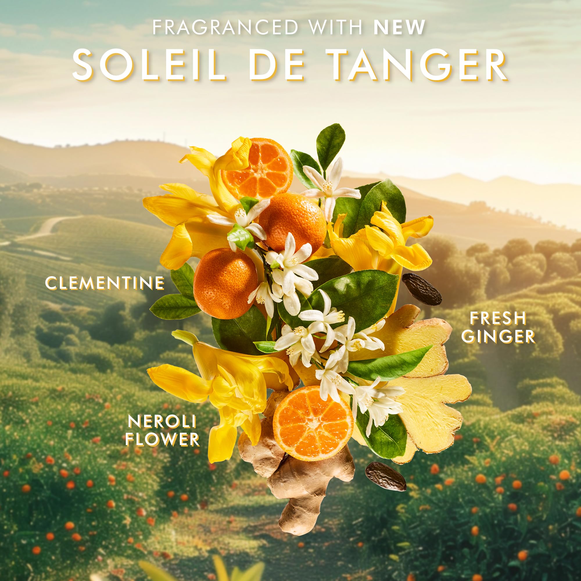 Moroccanoil Soleil De Tanger Set