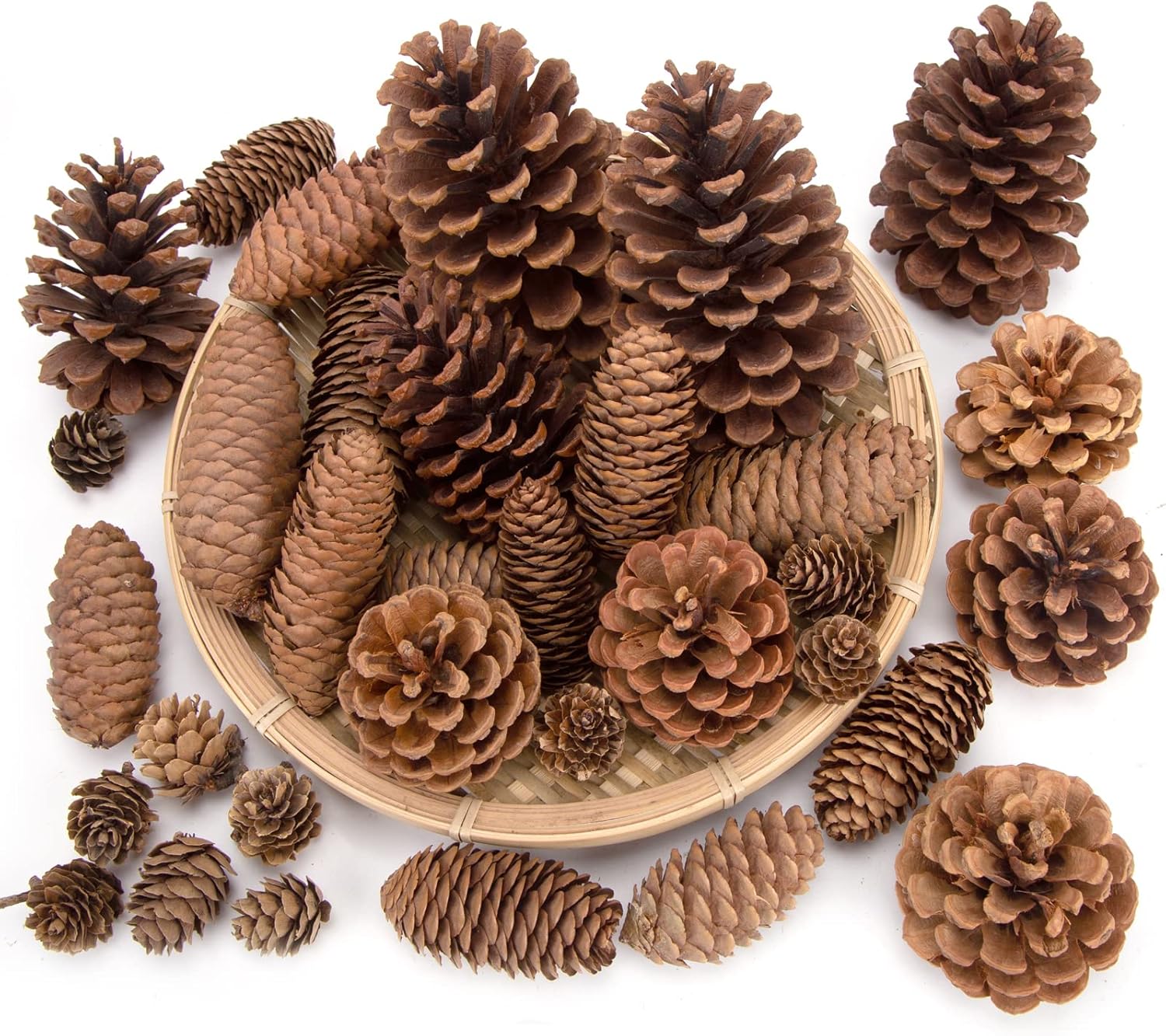 Vase Fillers - JOHOUSE 50PCS Natural Pinecone Ornaments, Pine Cones Bulk Natural Pinecones Assortment for Fall Winter Christmas Bowl Fillers