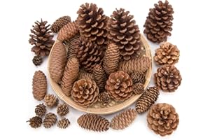 JOHOUSE 50PCS Large Natural Pinecone Ornaments, Pine Cones for Crafts, Pinecone Ornaments for Christmas Tree, Wreath Making, Winter Christmas Bowl Fillers, Winter Vase Filler