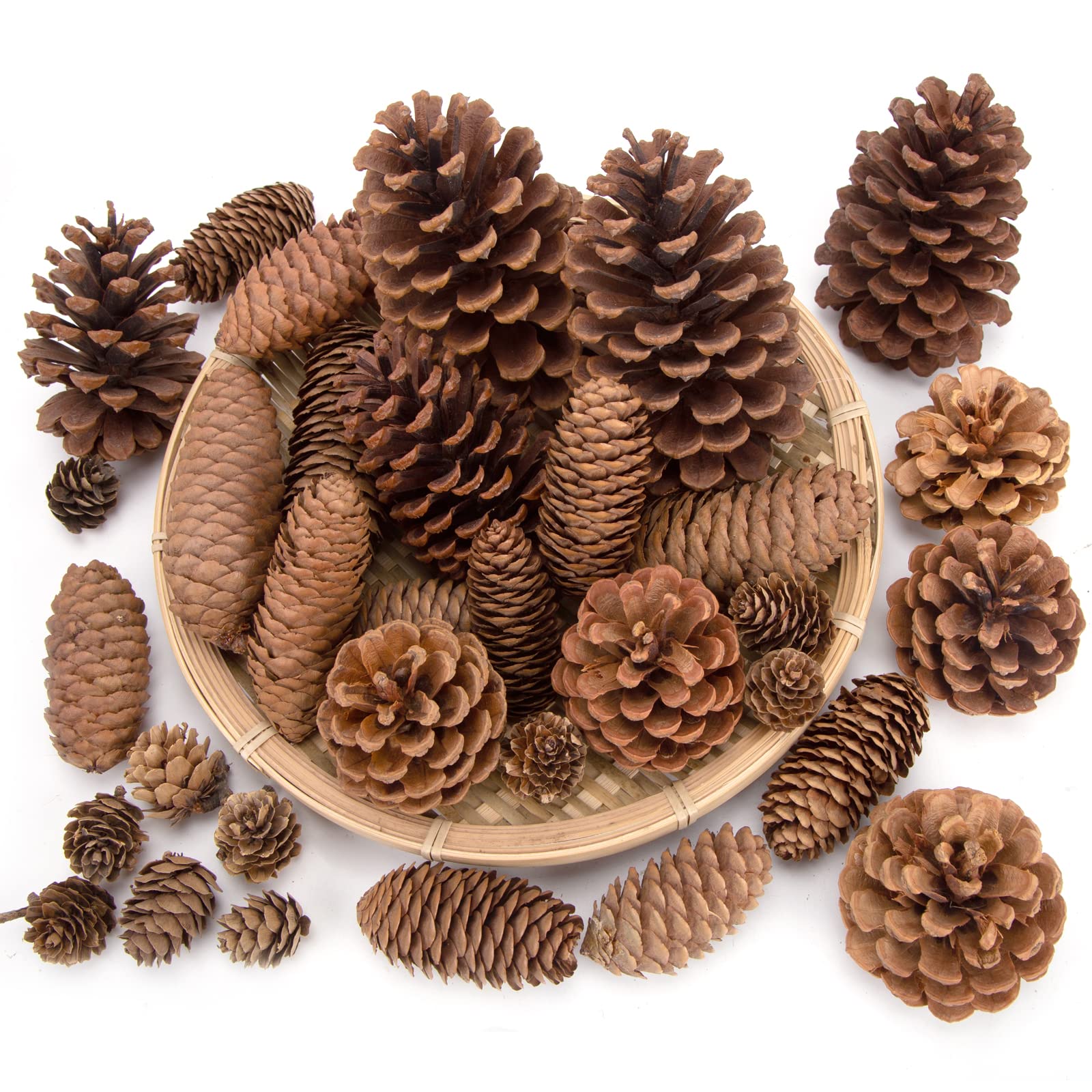 Photo 1 of JOHOUSE 50PCS Large Natural Pinecone Ornaments, Pine Cones for Crafts, Pinecone Ornaments for Christmas Tree, Wreath Making, Winter Christmas Bowl Fillers, Winter Vase Filler