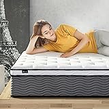 ZINUS 12 Inch True Support Hybrid Mattress [New